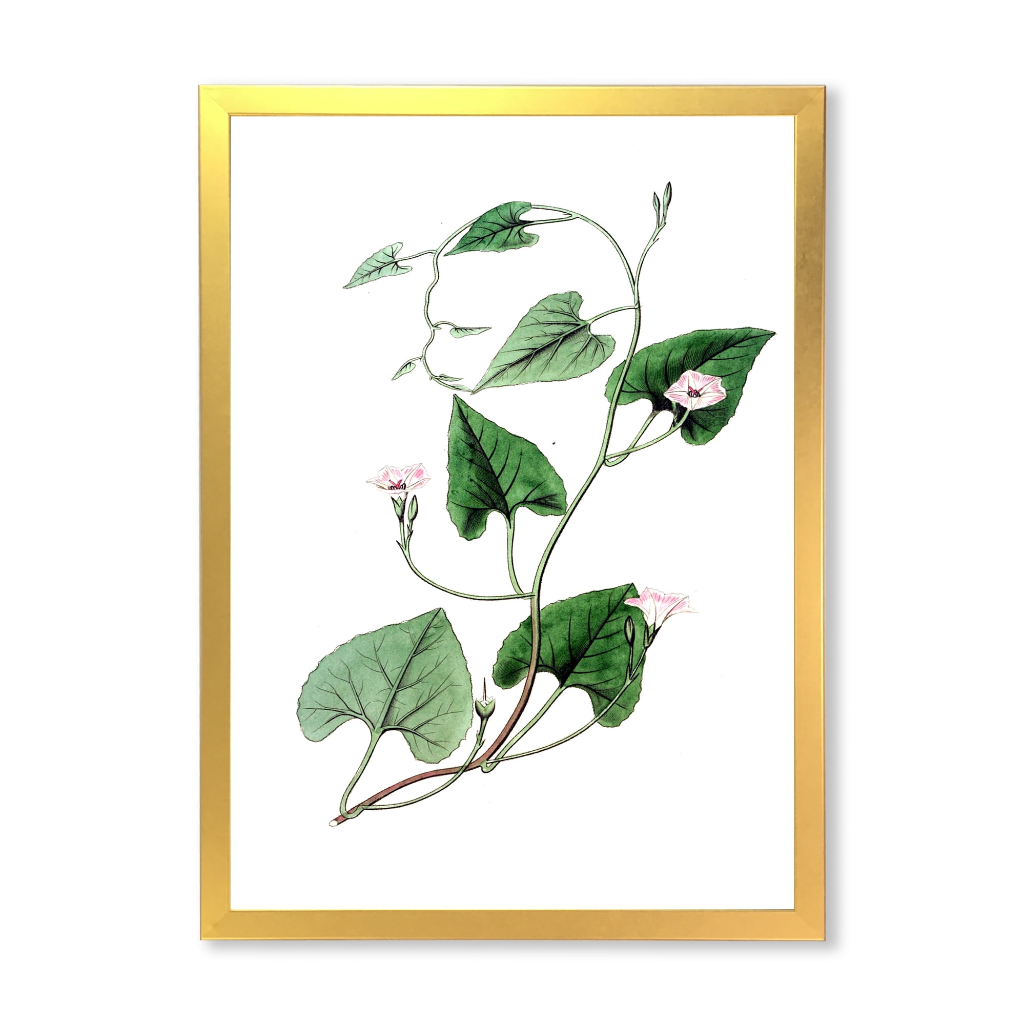 Designart 'Ancient Green Leaves Plants IX' Traditional Framed Art Print