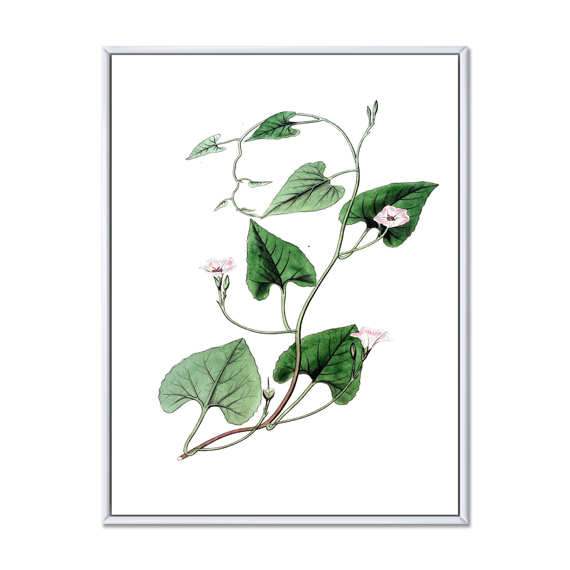Designart 'Ancient Green Leaves Plants IX' Traditional Framed Canvas Wall Art Print