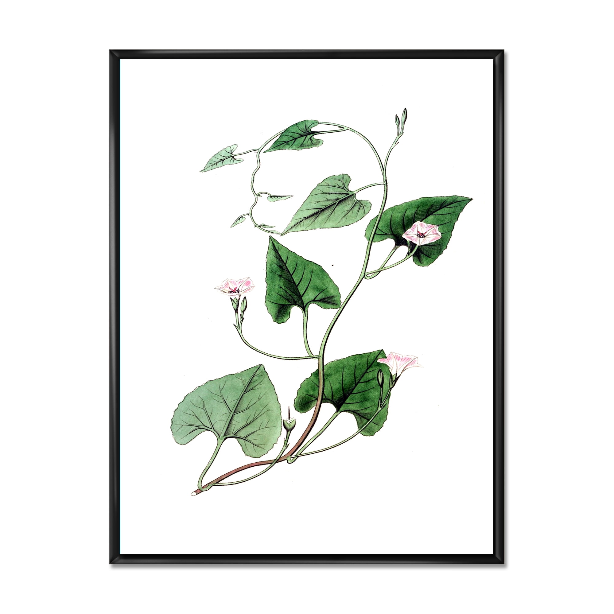 Designart 'Ancient Green Leaves Plants IX' Traditional Framed Canvas Wall Art Print
