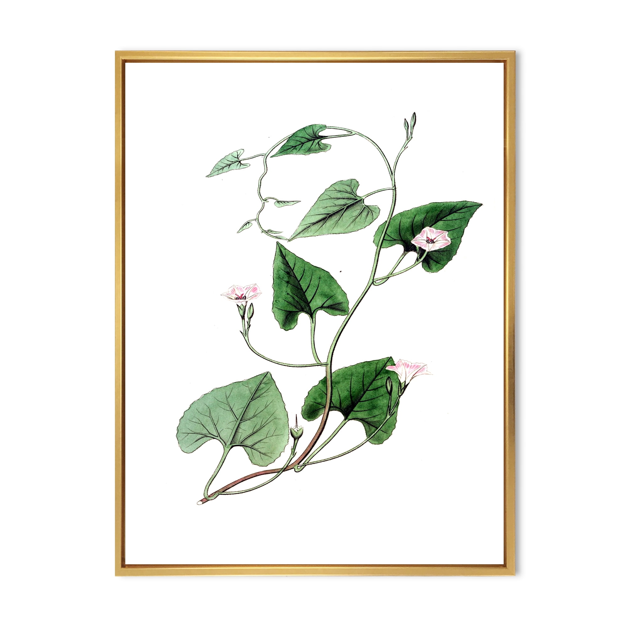 Designart 'Ancient Green Leaves Plants IX' Traditional Framed Canvas Wall Art Print