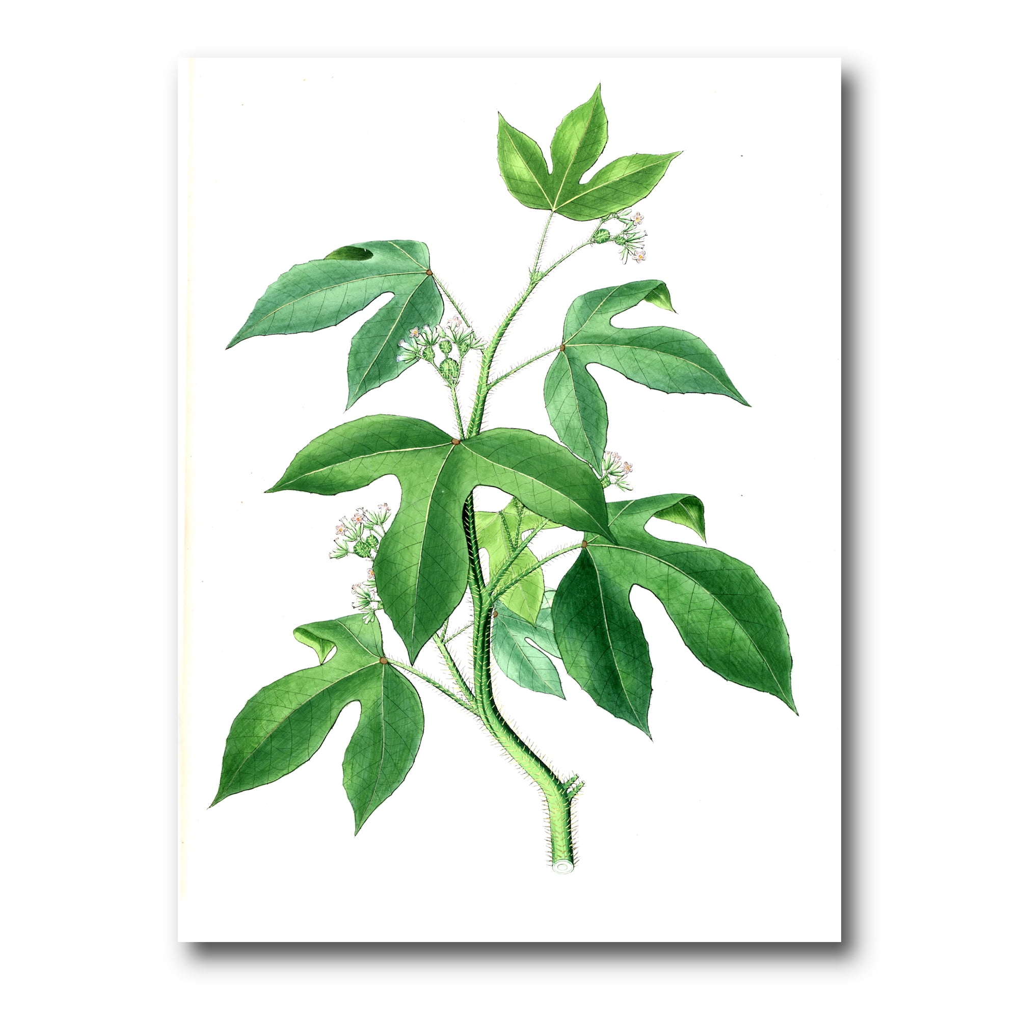 Designart ' Ancient Green Leaves Plants V ' Traditional Canvas Wall Art Print
