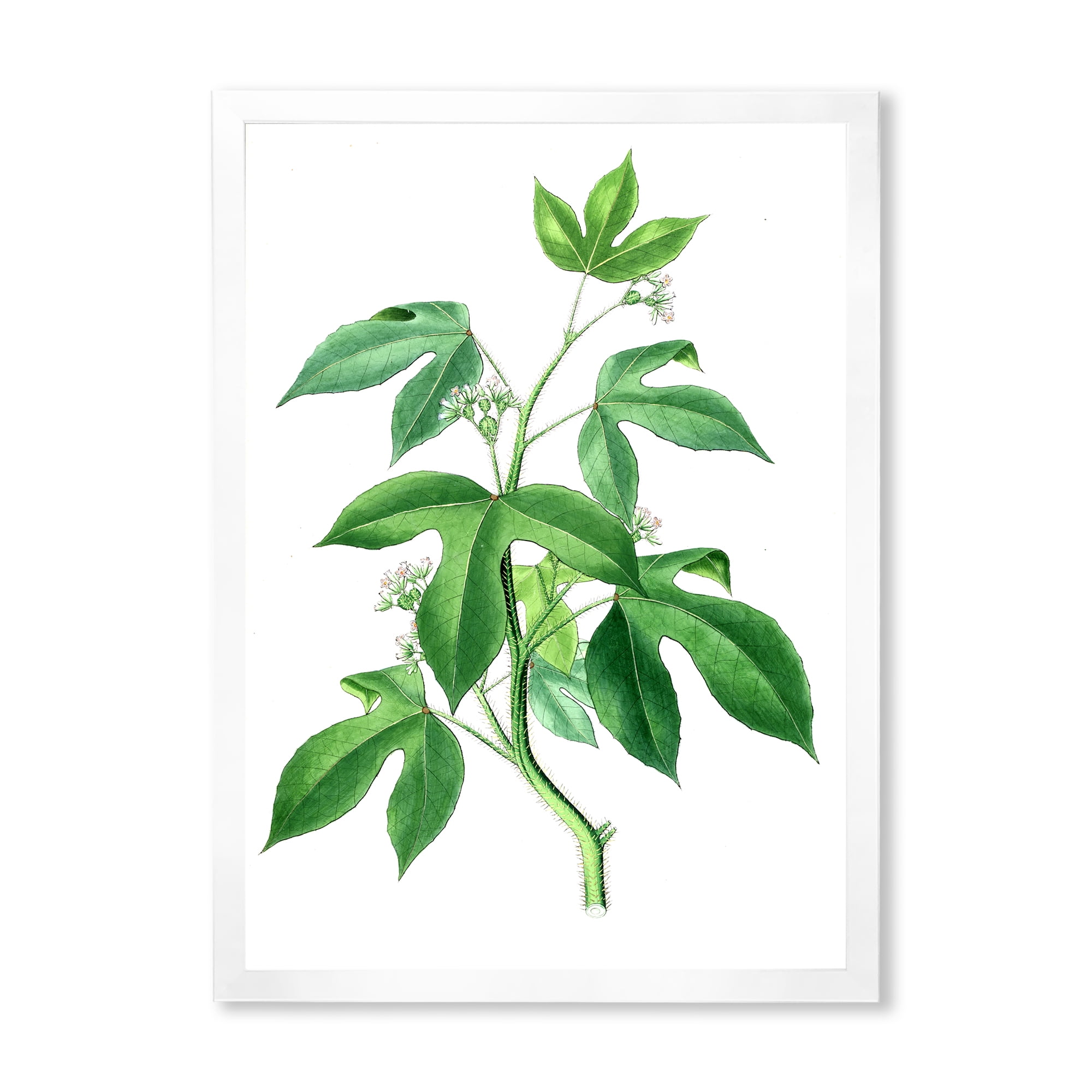 Designart 'Ancient Green Leaves Plants V' Traditional Framed Art Print