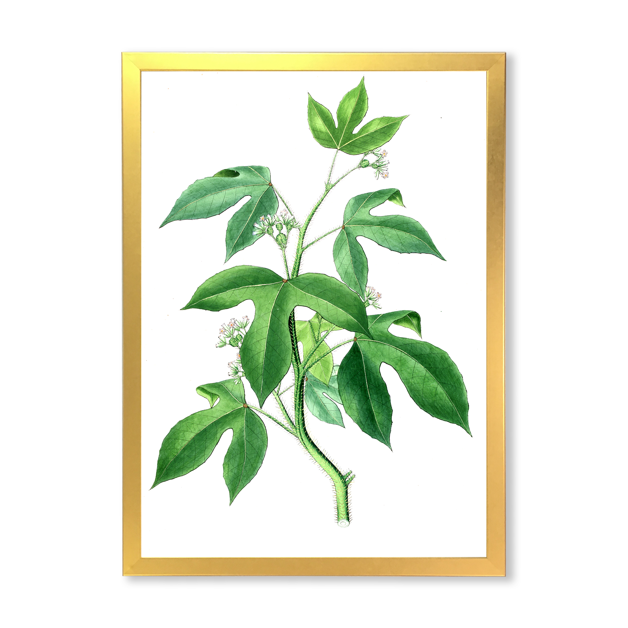Designart 'Ancient Green Leaves Plants V' Traditional Framed Art Print