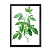 Designart 'Ancient Green Leaves Plants V' Traditional Framed Art Print