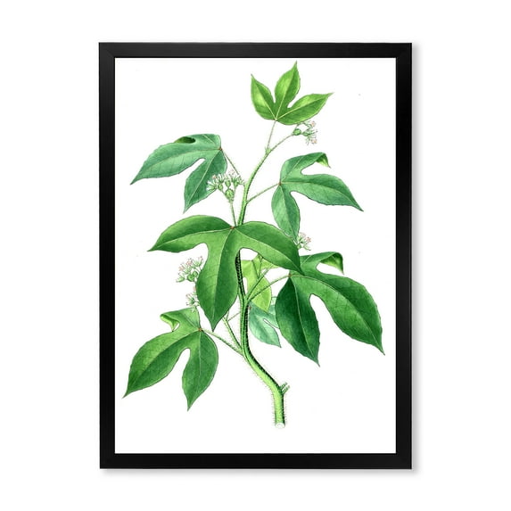 Designart 'Ancient Green Leaves Plants V' Traditional Framed Art Print