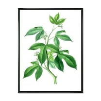 Designart 'Ancient Green Leaves Plants V' Traditional Framed Canvas Wall Art Print