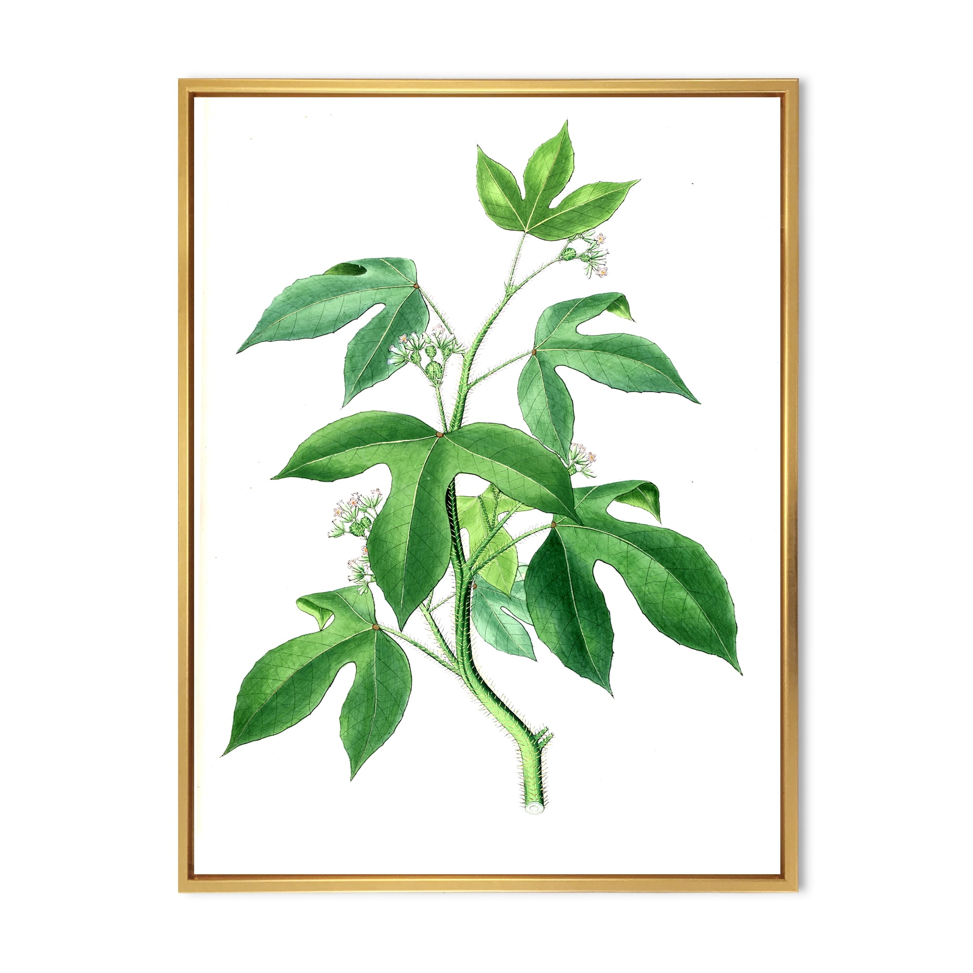 Designart 'Ancient Green Leaves Plants V' Traditional Framed Canvas Wall Art Print