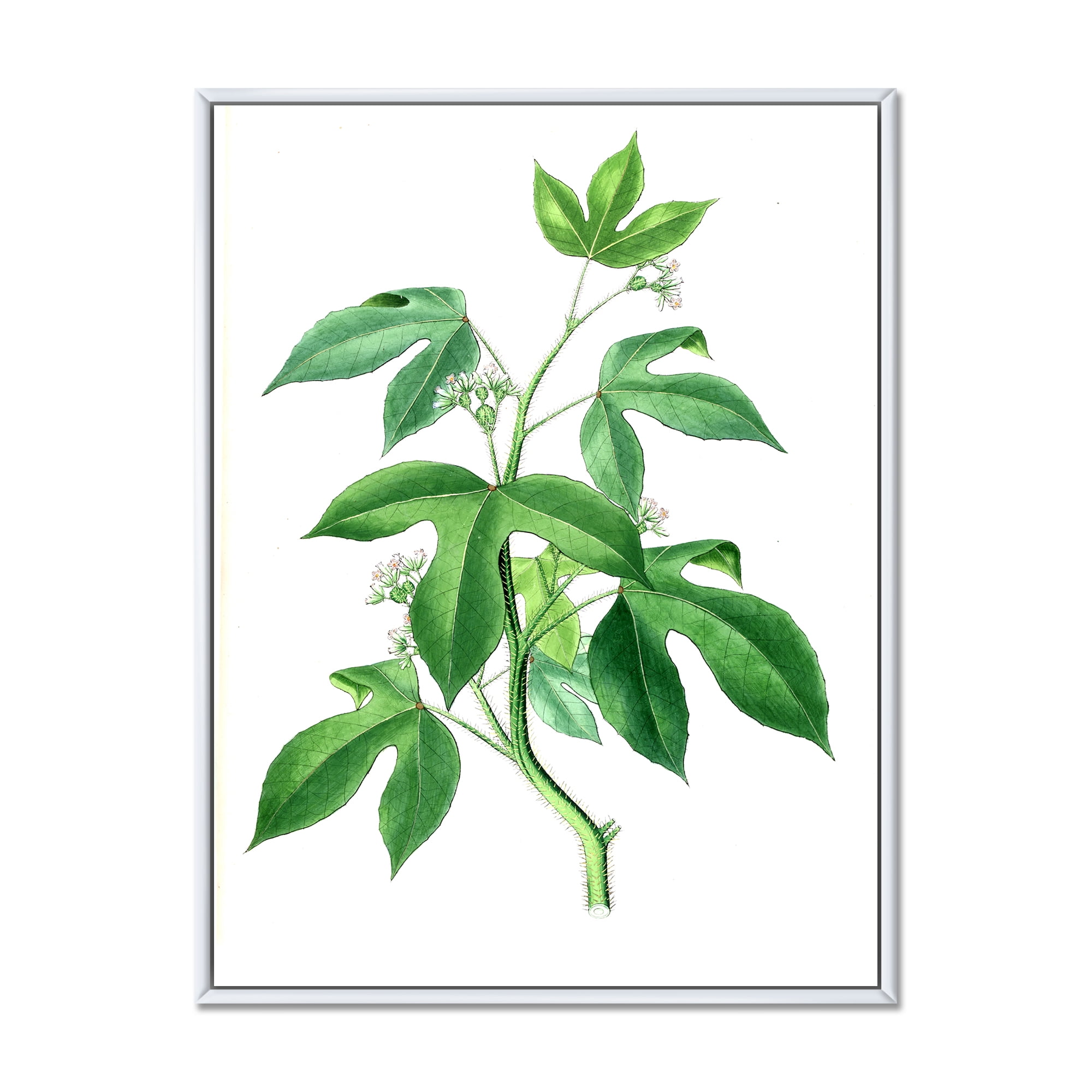 Designart 'Ancient Green Leaves Plants V' Traditional Framed Canvas Wall Art Print