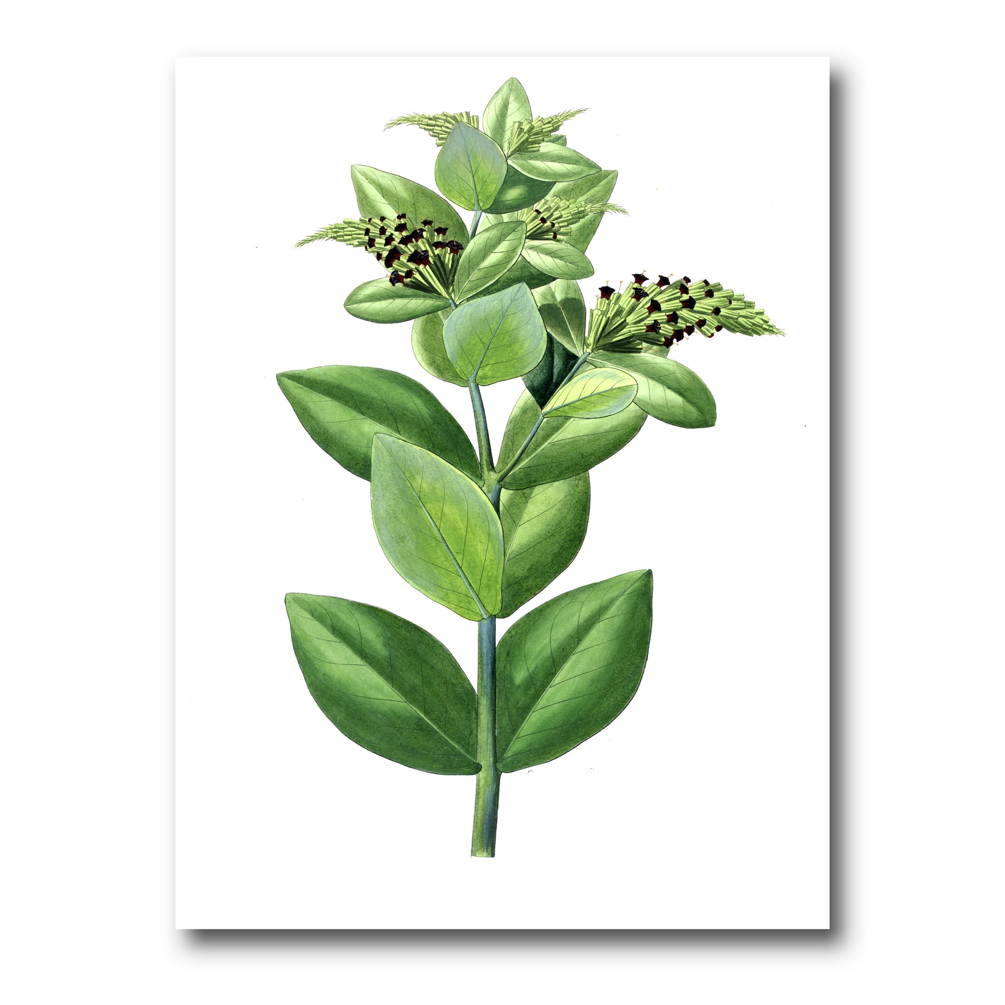 Designart ' Ancient Green Leaves Plants VI ' Traditional Canvas Wall Art Print