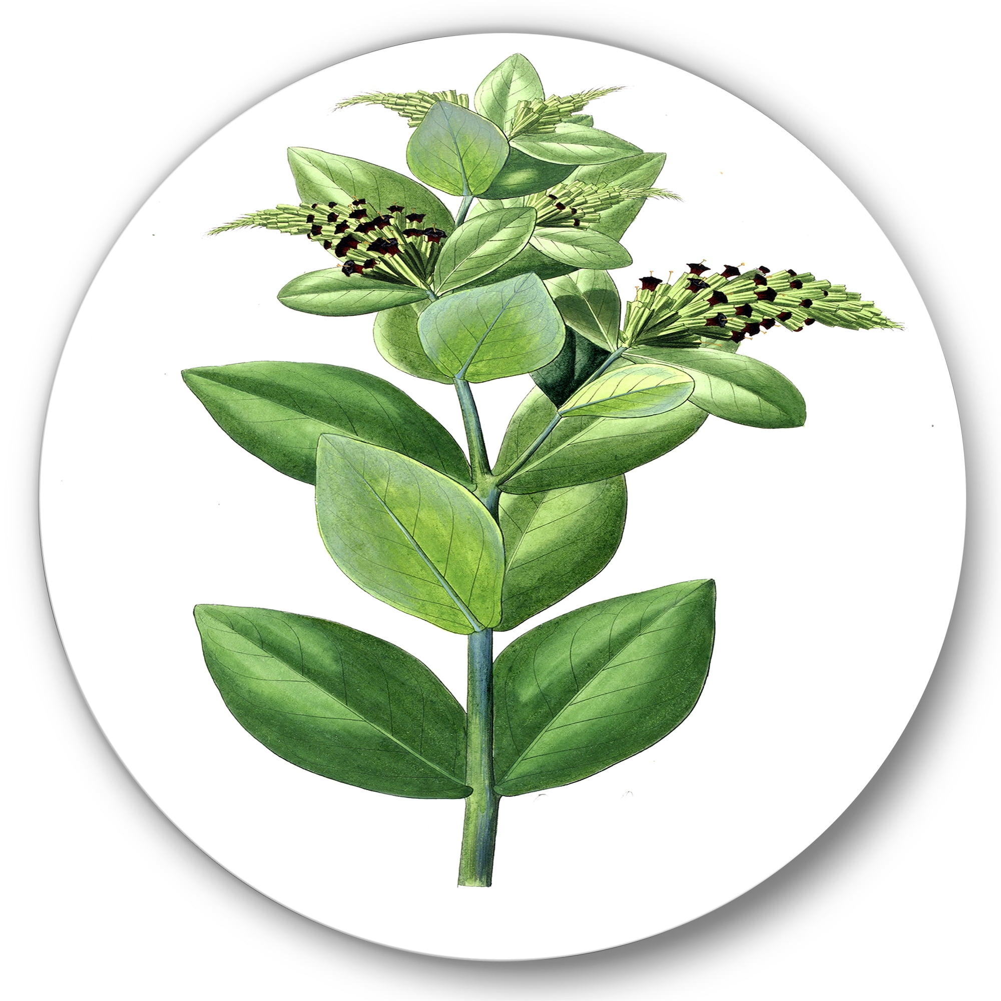 Designart 'Ancient Green Leaves Plants VI' Traditional Circle Metal Wall Art 29x29 - Disc of 29