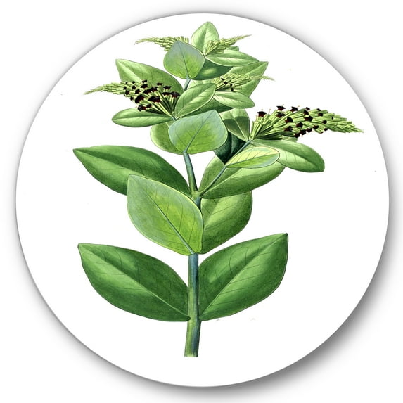 Designart 'Ancient Green Leaves Plants VI' Traditional Circle Metal Wall Art 29x29 - Disc of 29