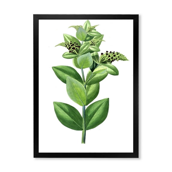 Designart 'Ancient Green Leaves Plants VI' Traditional Framed Art Print