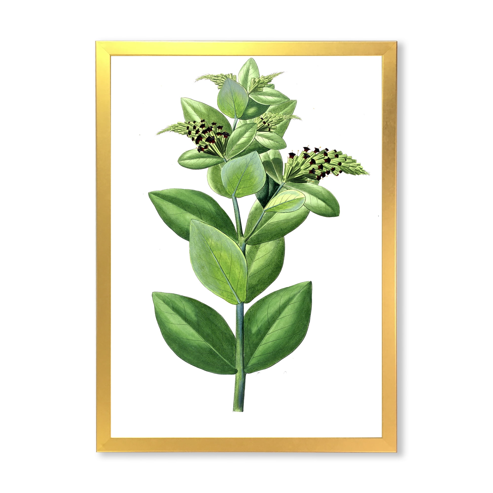 Designart 'Ancient Green Leaves Plants VI' Traditional Framed Art Print