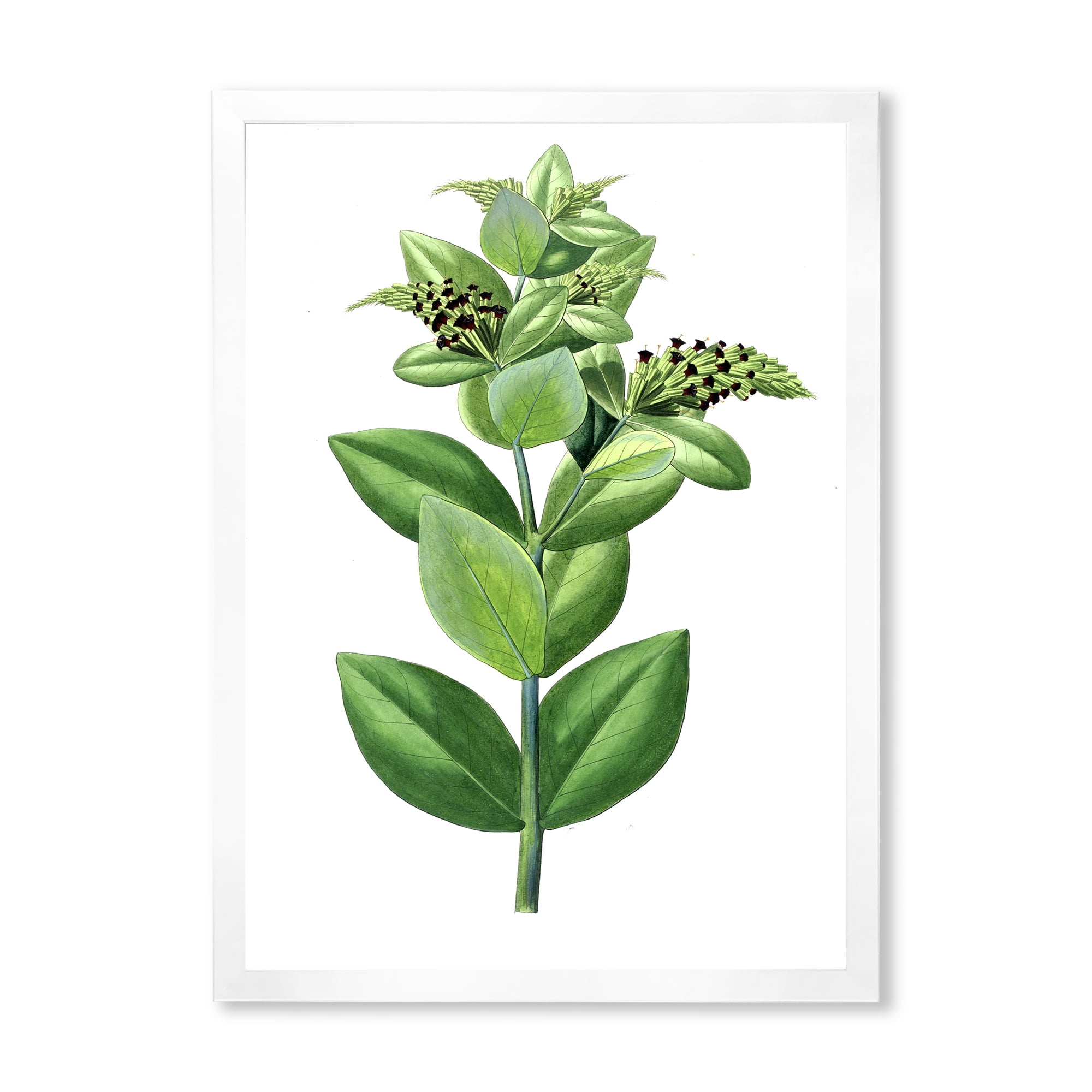 Designart 'Ancient Green Leaves Plants VI' Traditional Framed Art Print