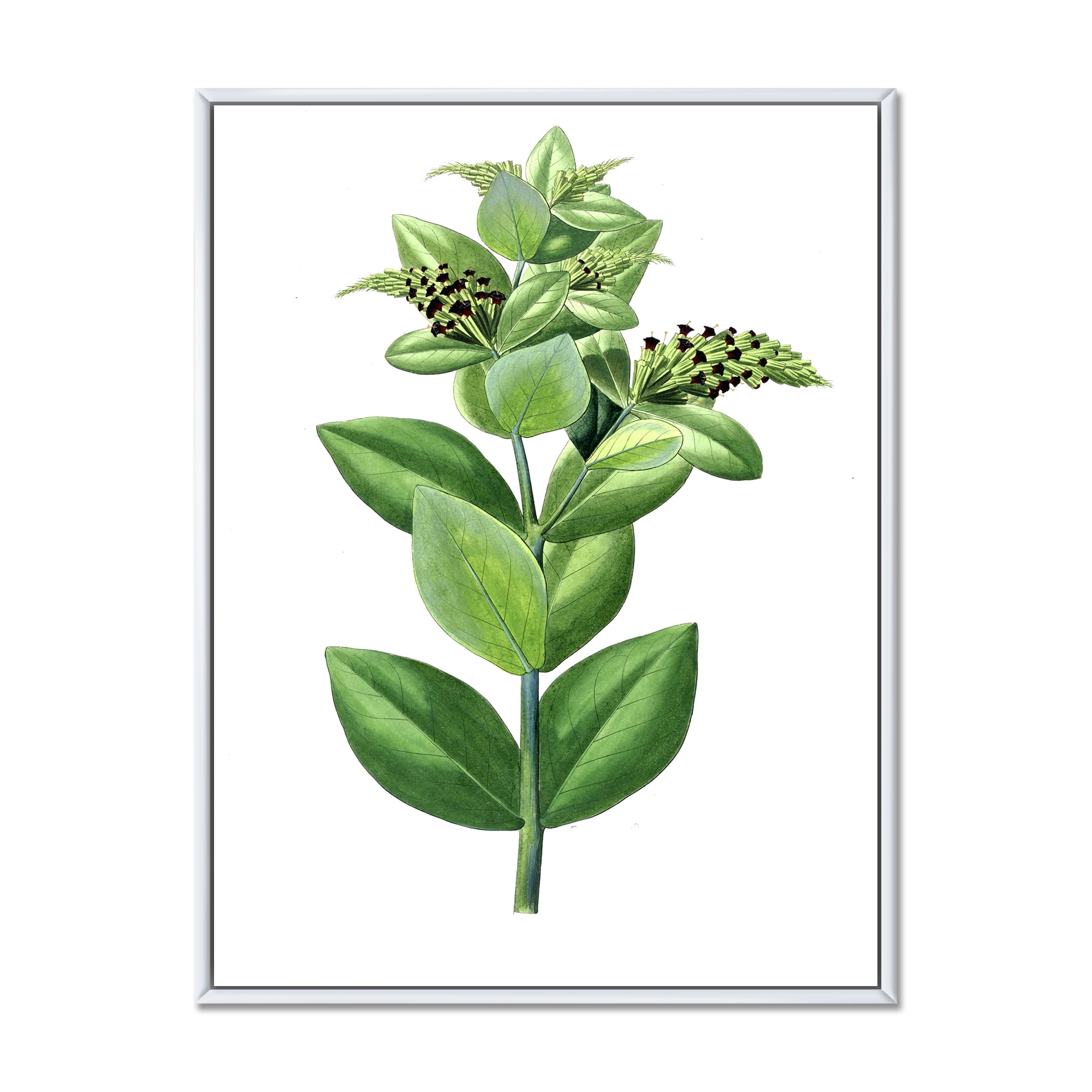Designart 'Ancient Green Leaves Plants VI' Traditional Framed Canvas Wall Art Print