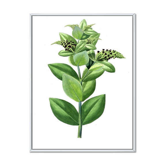 Designart 'Ancient Green Leaves Plants VI' Traditional Framed Canvas Wall Art Print