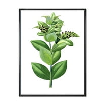 Designart 'Ancient Green Leaves Plants VI' Traditional Framed Canvas Wall Art Print