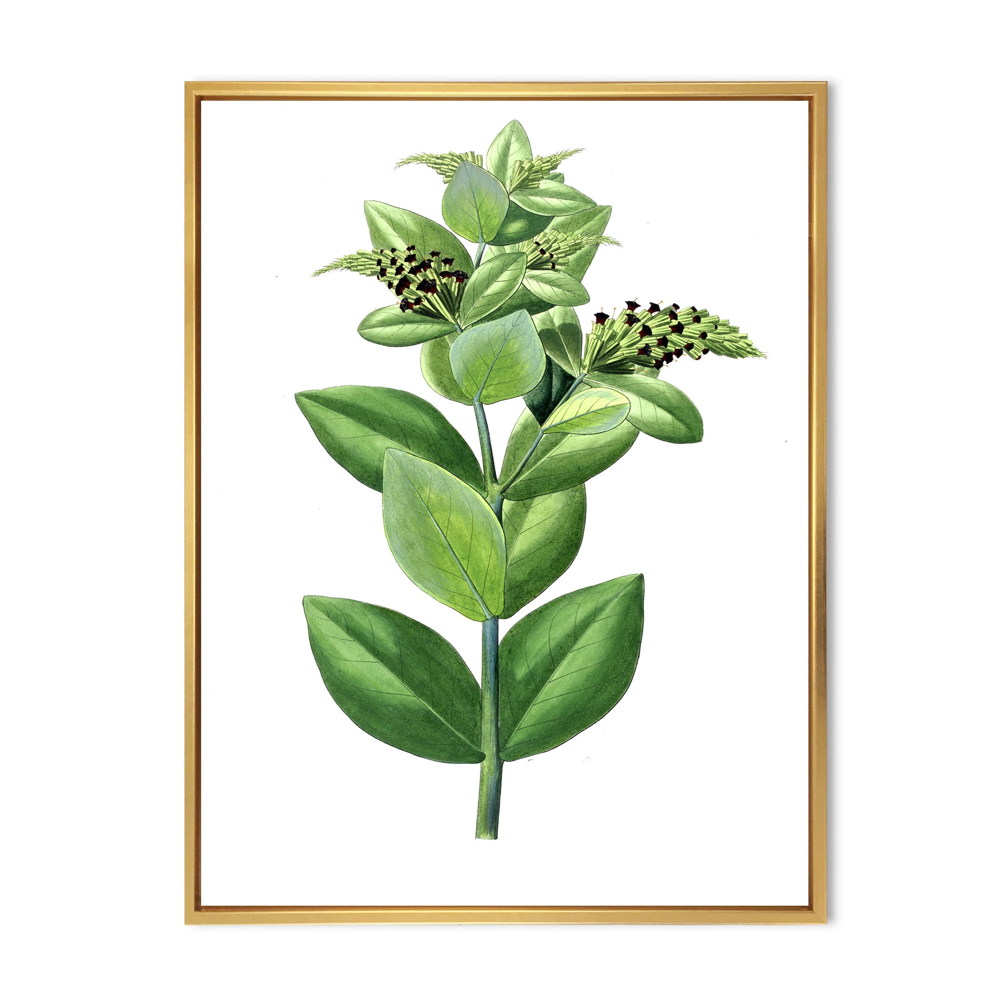 Designart 'Ancient Green Leaves Plants VI' Traditional Framed Canvas Wall Art Print