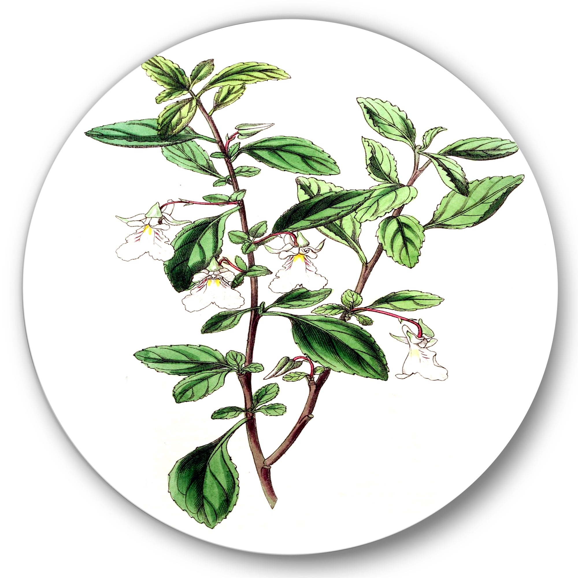 Designart 'Ancient Green Leaves Plants VII' Traditional Circle Metal Wall Art 11x11 - Disc of 11