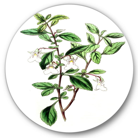 Designart 'Ancient Green Leaves Plants VII' Traditional Circle Metal Wall Art 36x36 - Disc of 36