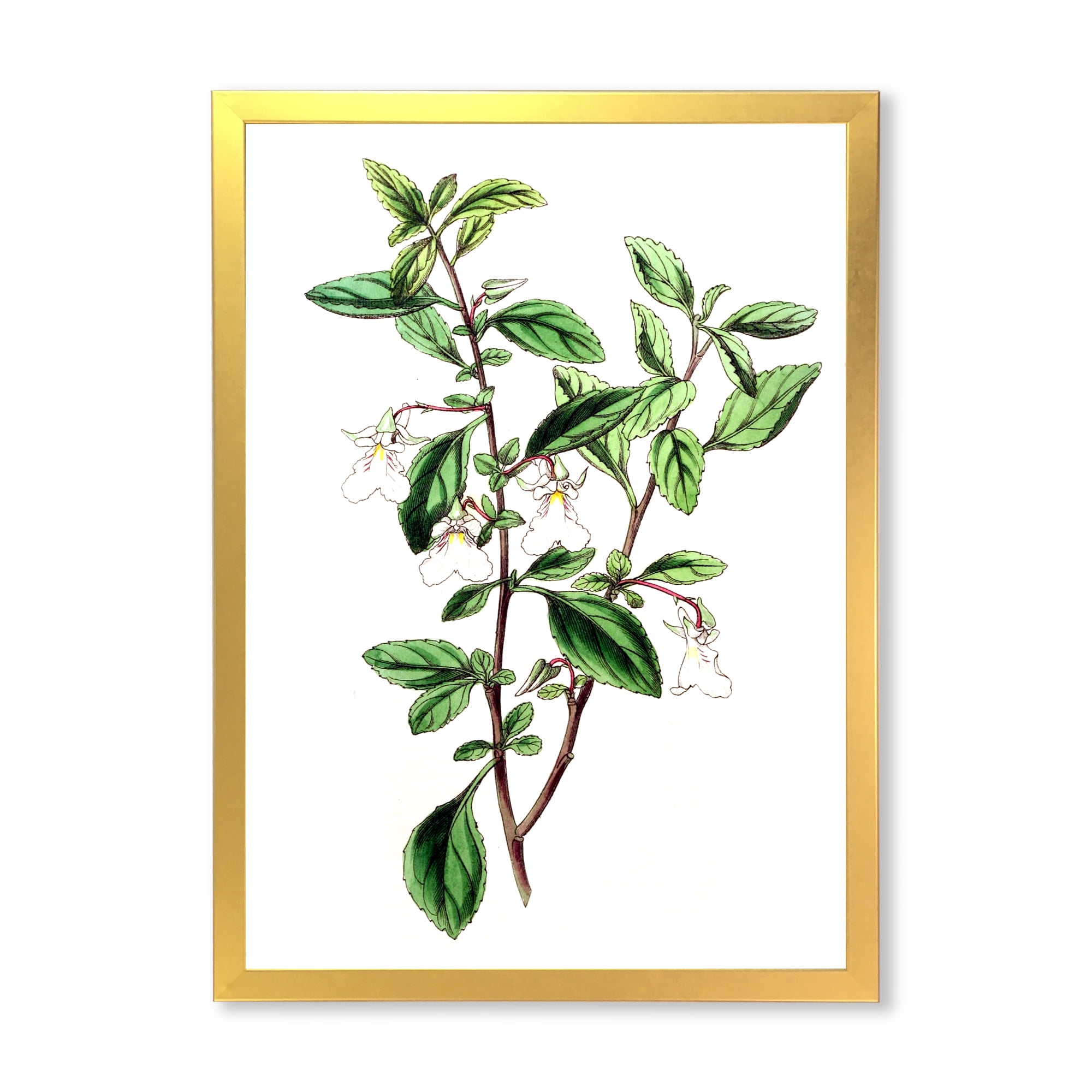 Designart 'Ancient Green Leaves Plants VII' Traditional Framed Art Print