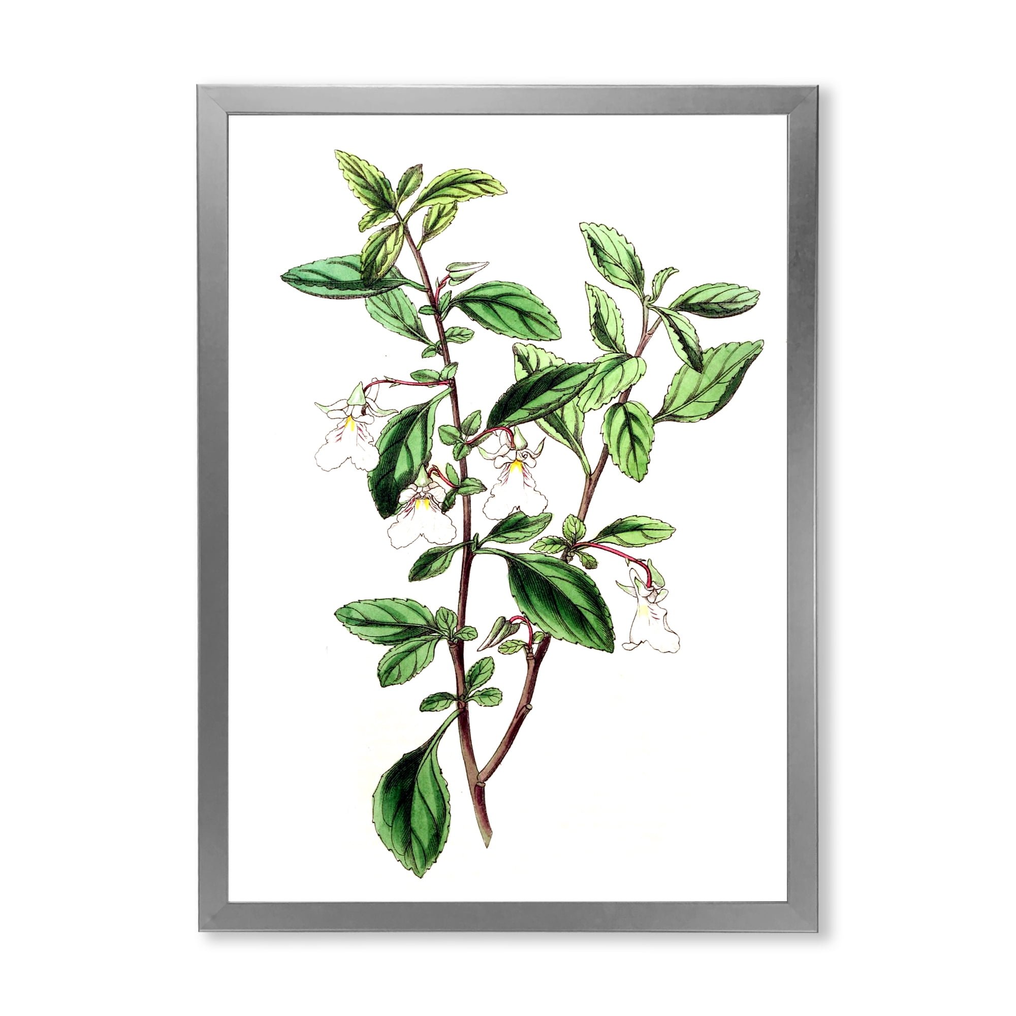 Designart 'Ancient Green Leaves Plants VII' Traditional Framed Art Print