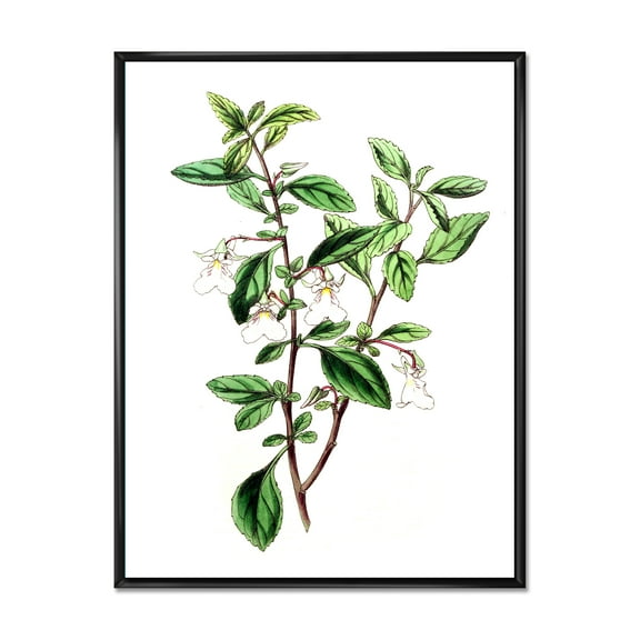 Designart 'Ancient Green Leaves Plants VII' Traditional Framed Canvas Wall Art Print