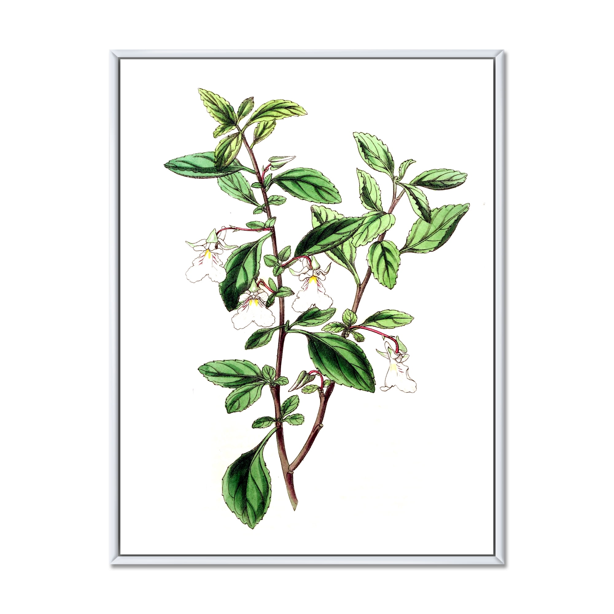 Designart 'Ancient Green Leaves Plants VII' Traditional Framed Canvas Wall Art Print