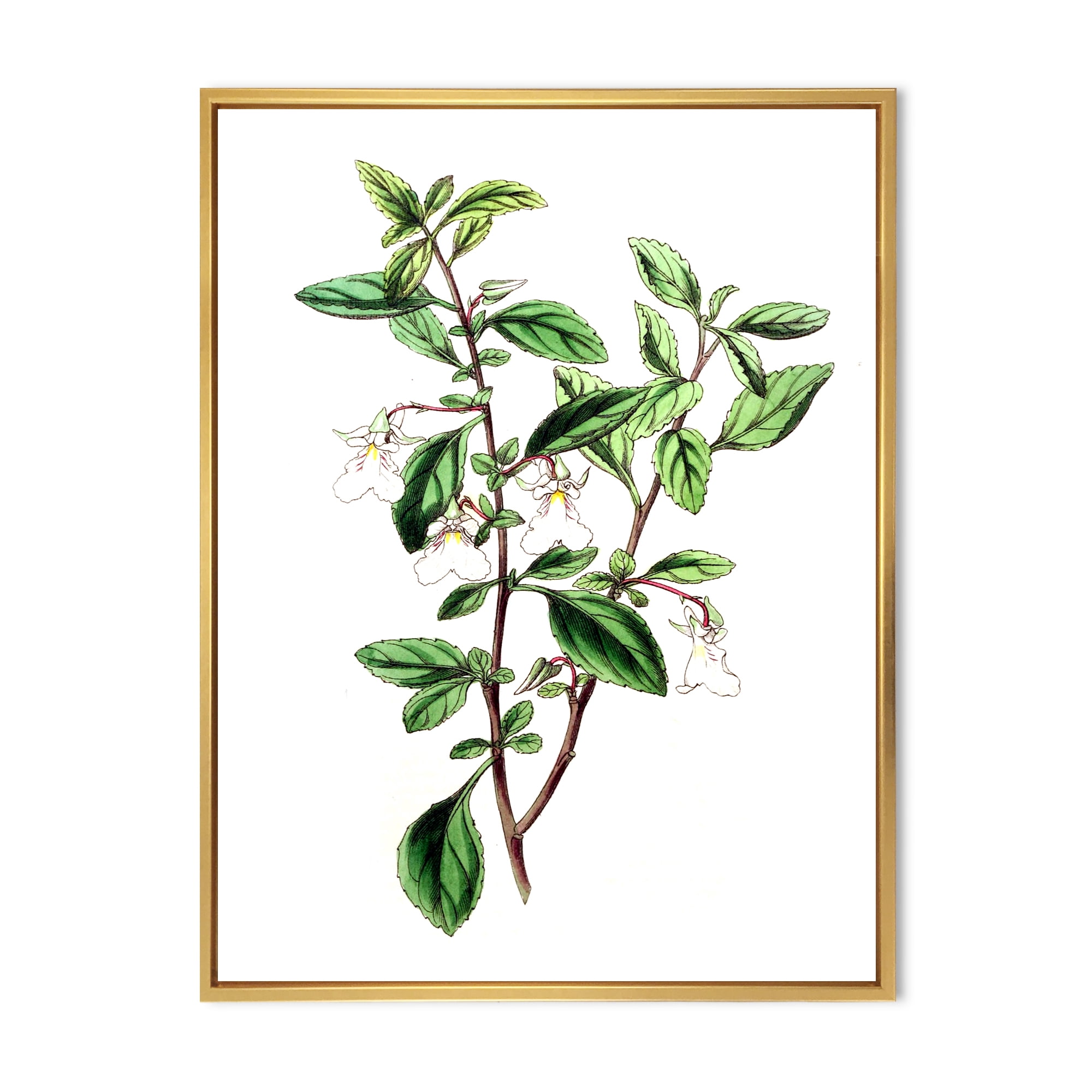 Designart 'Ancient Green Leaves Plants VII' Traditional Framed Canvas Wall Art Print