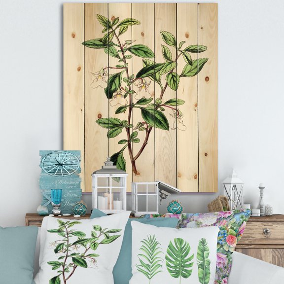 Designart 'Ancient Green Leaves Plants VII' Traditional Print on Natural Pine Wood