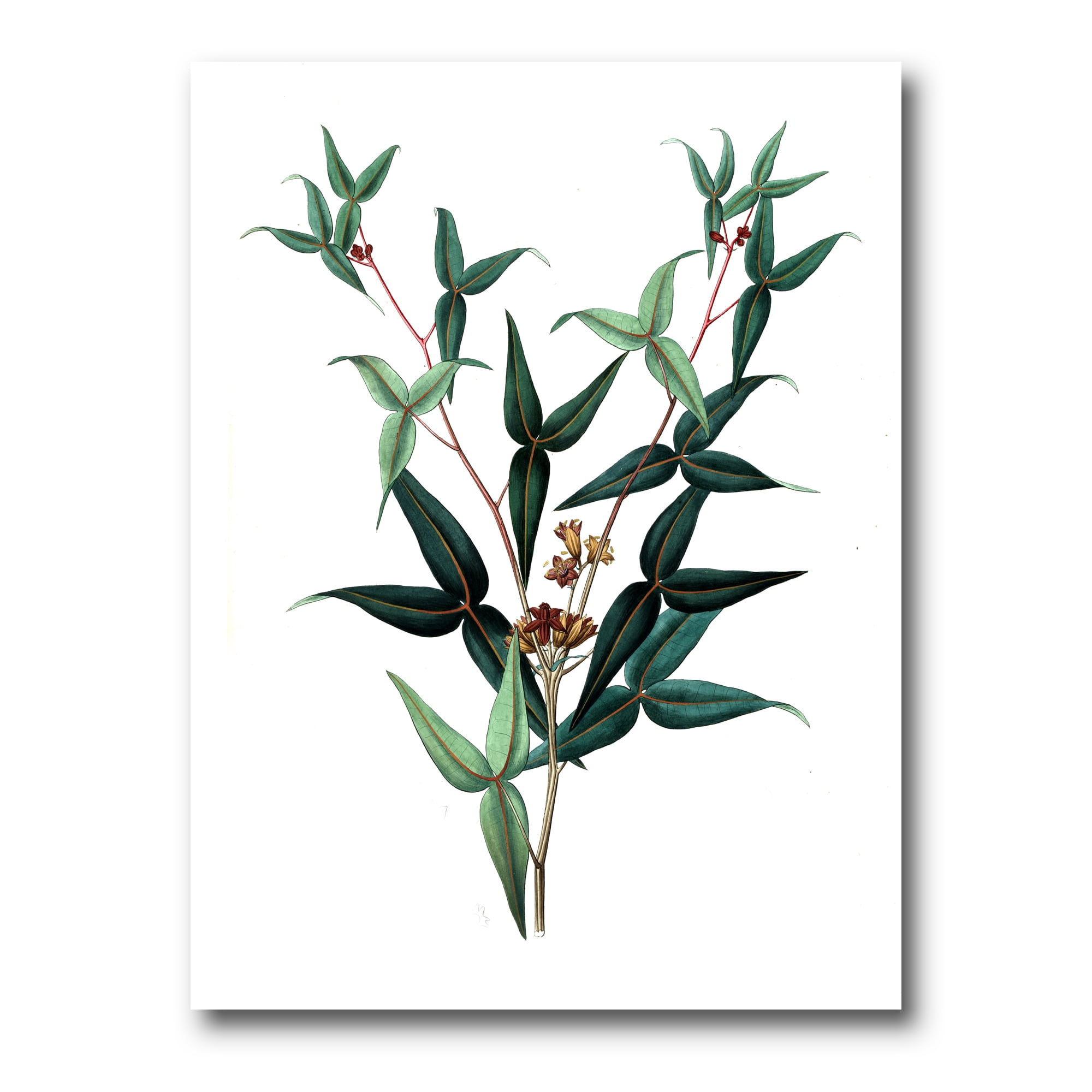 Designart ' Ancient Green Leaves Plants VIII ' Traditional Canvas Wall Art Print