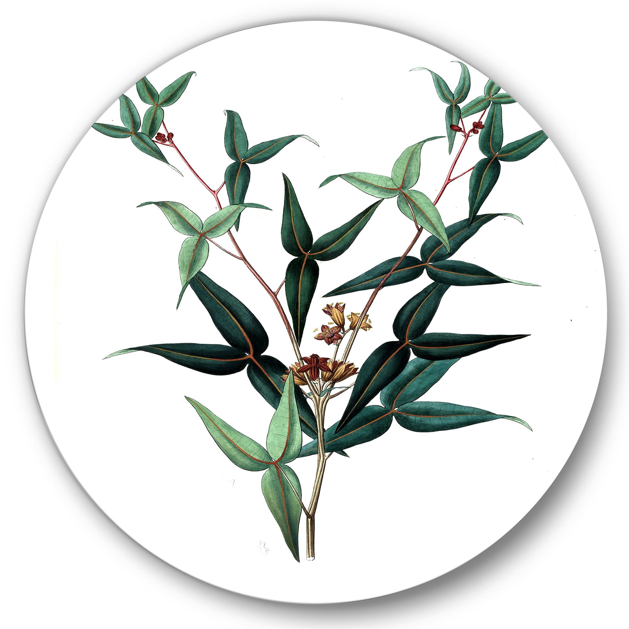 Designart 'Ancient Green Leaves Plants VIII' Traditional Circle Metal Wall Art 36x36 - Disc of 36