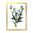 thumbnail image 1 of Designart 'Ancient Green Leaves Plants VIII' Traditional Framed Art Print, 1 of 4