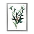 thumbnail image 1 of Designart 'Ancient Green Leaves Plants VIII' Traditional Framed Art Print, 1 of 4