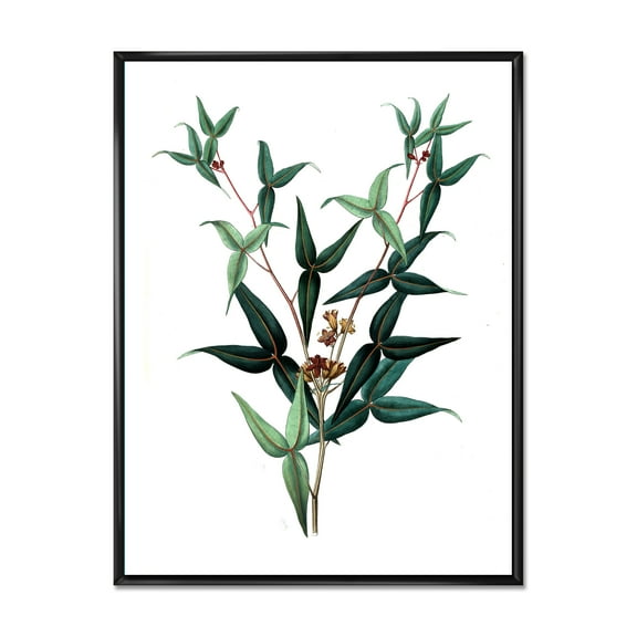 Designart 'Ancient Green Leaves Plants VIII' Traditional Framed Canvas Wall Art Print