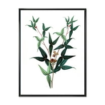 Designart 'Ancient Green Leaves Plants VIII' Traditional Framed Canvas Wall Art Print