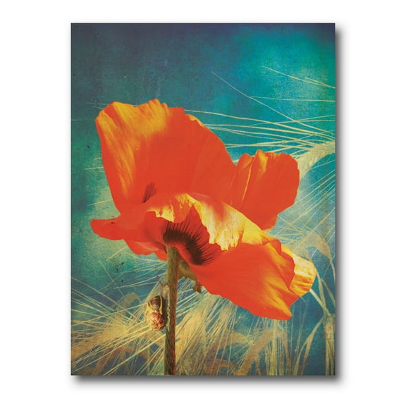 Designart ' Ancient Grunge Poppy ' Traditional Canvas Wall Art Print