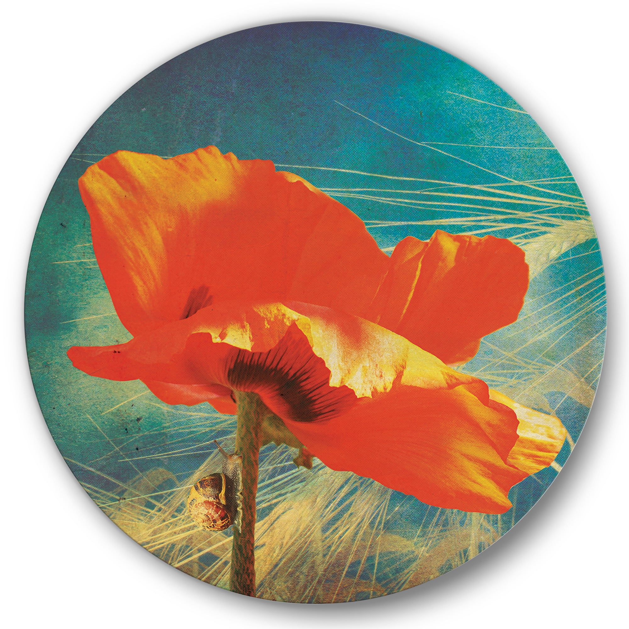 Designart 'Ancient Grunge Poppy' Traditional Circle Metal Wall Art 36x36 - Disc of 36