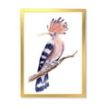 thumbnail image 1 of Designart 'Ancient Hoopoe Bird On A Branch' Traditional Framed Art Print, 1 of 1