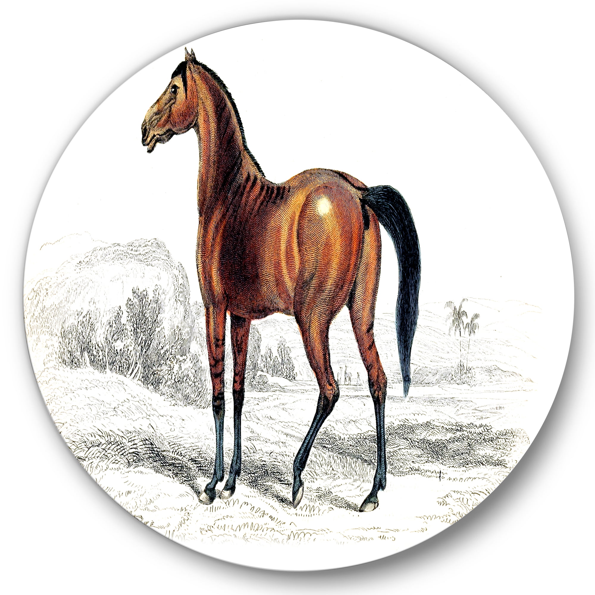 Designart 'Ancient Horse' Farmhouse Circle Metal Wall Art 11x11 - Disc of 11
