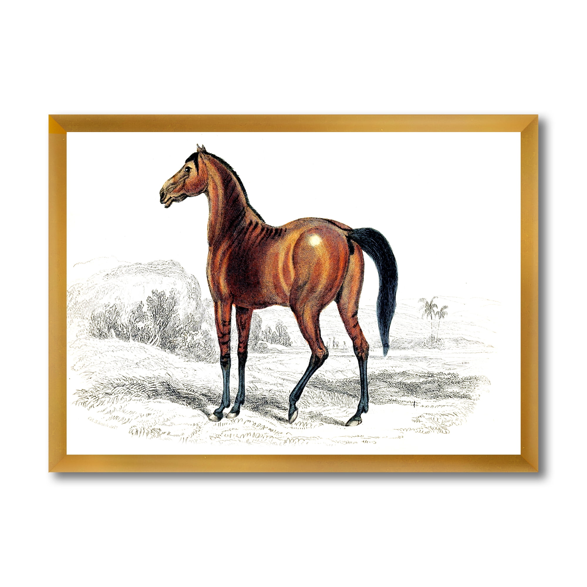 Designart 'Ancient Horse' Farmhouse Framed Art Print