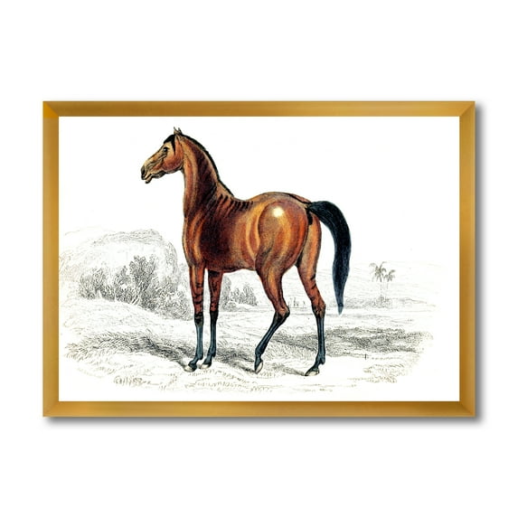 Designart 'Ancient Horse' Farmhouse Framed Art Print