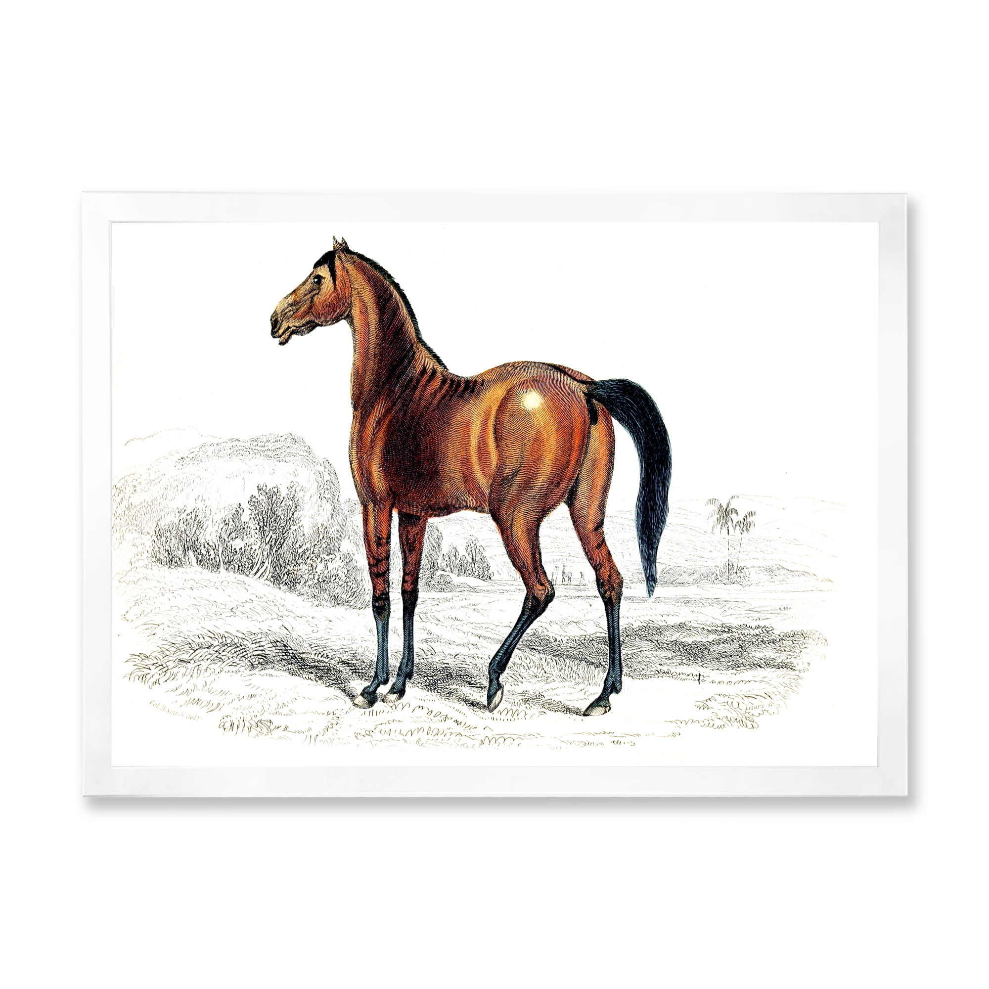 Designart 'Ancient Horse' Farmhouse Framed Art Print
