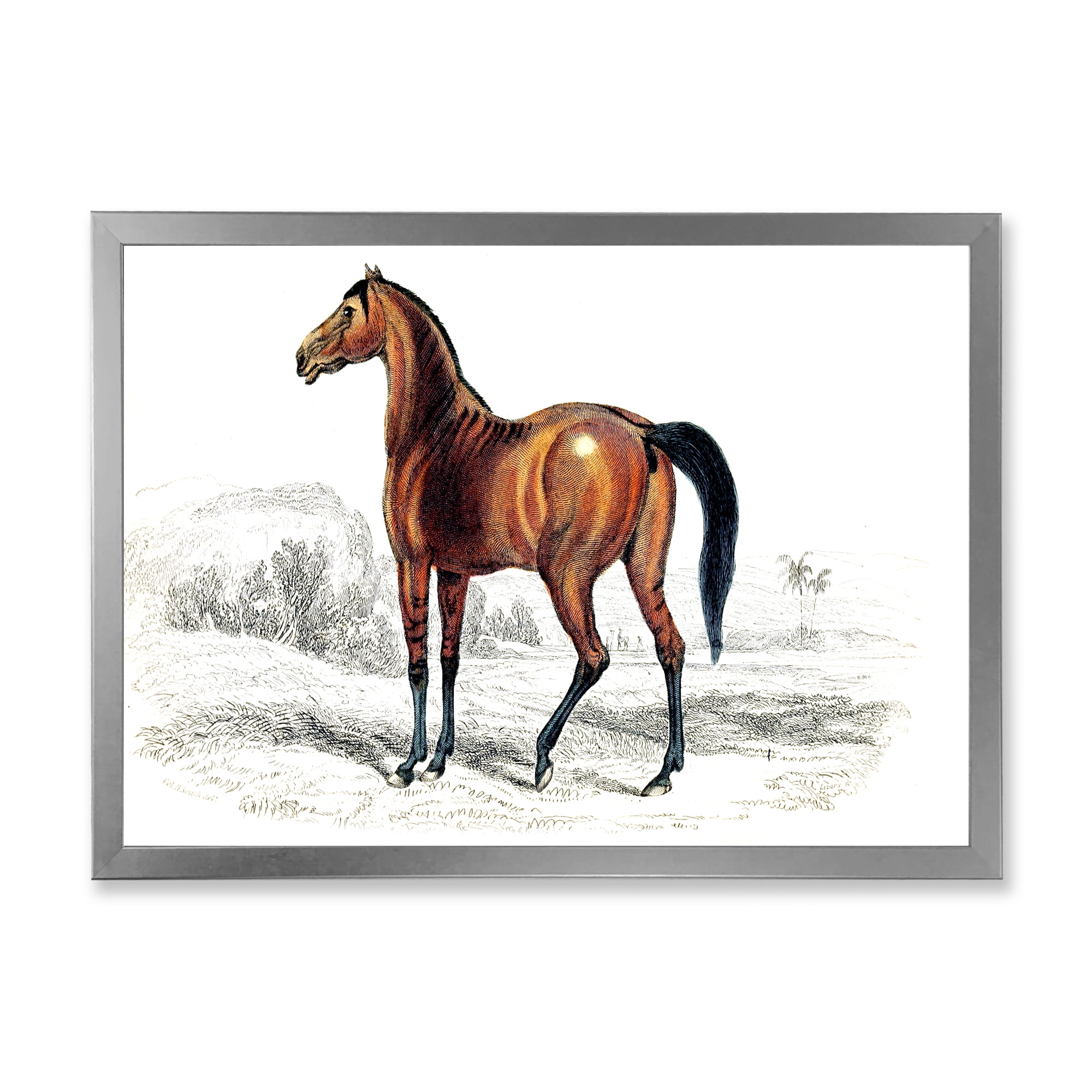 Designart 'Ancient Horse' Farmhouse Framed Art Print