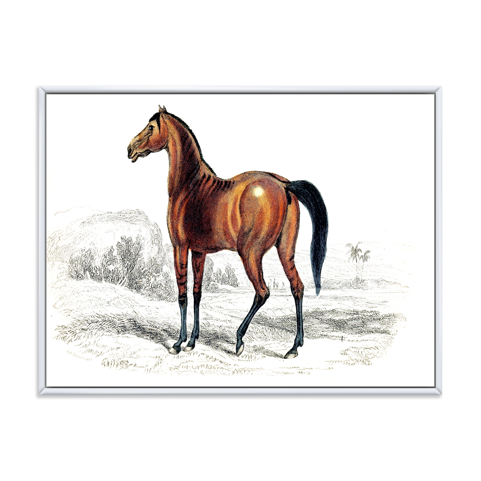Designart 'Ancient Horse' Farmhouse Framed Canvas Wall Art Print