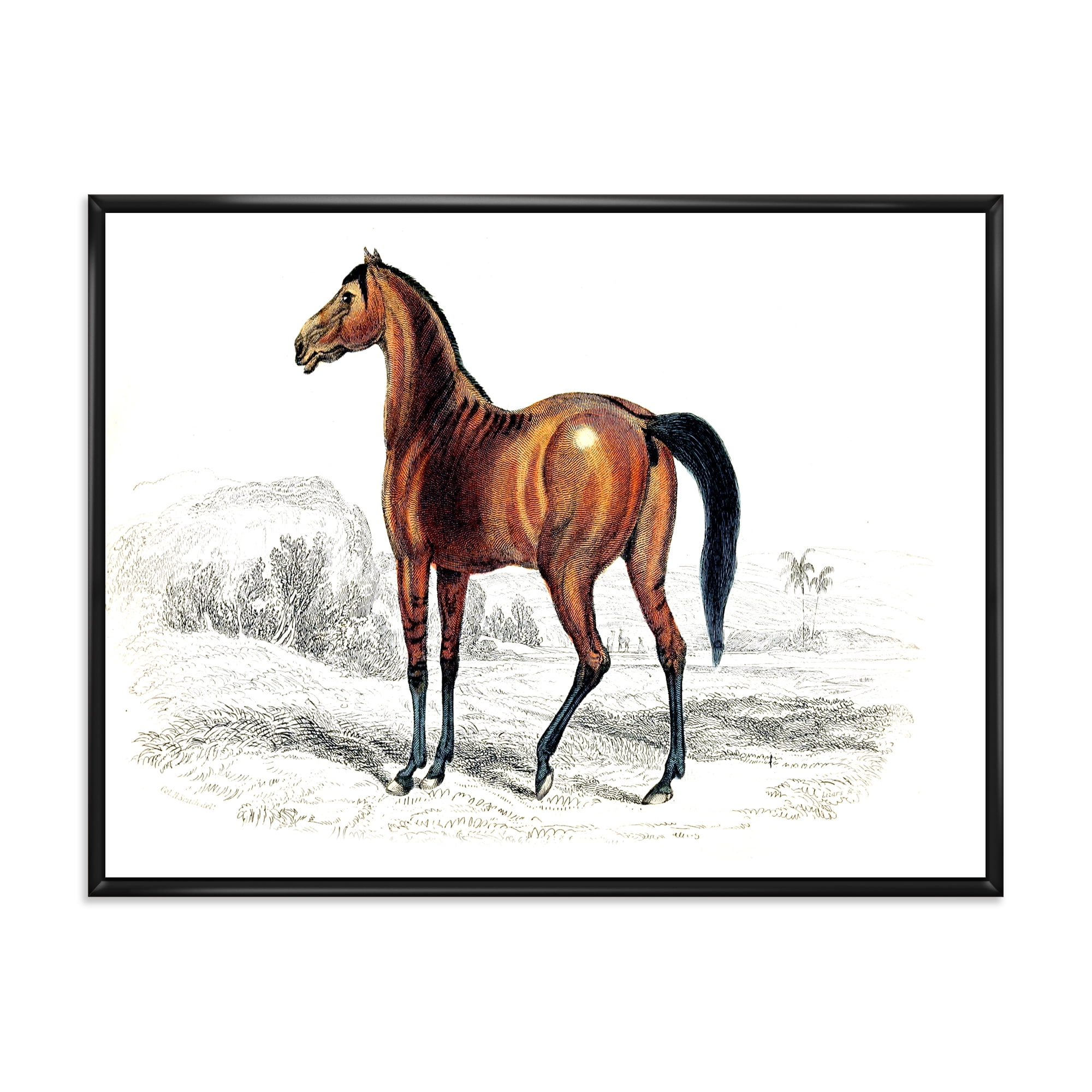 Designart 'Ancient Horse' Farmhouse Framed Canvas Wall Art Print