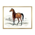 thumbnail image 1 of Designart 'Ancient Horse' Farmhouse Framed Canvas Wall Art Print, 1 of 5
