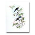 thumbnail image 1 of Designart ' Ancient Hummingbird I ' Traditional Canvas Wall Art Print, 1 of 4