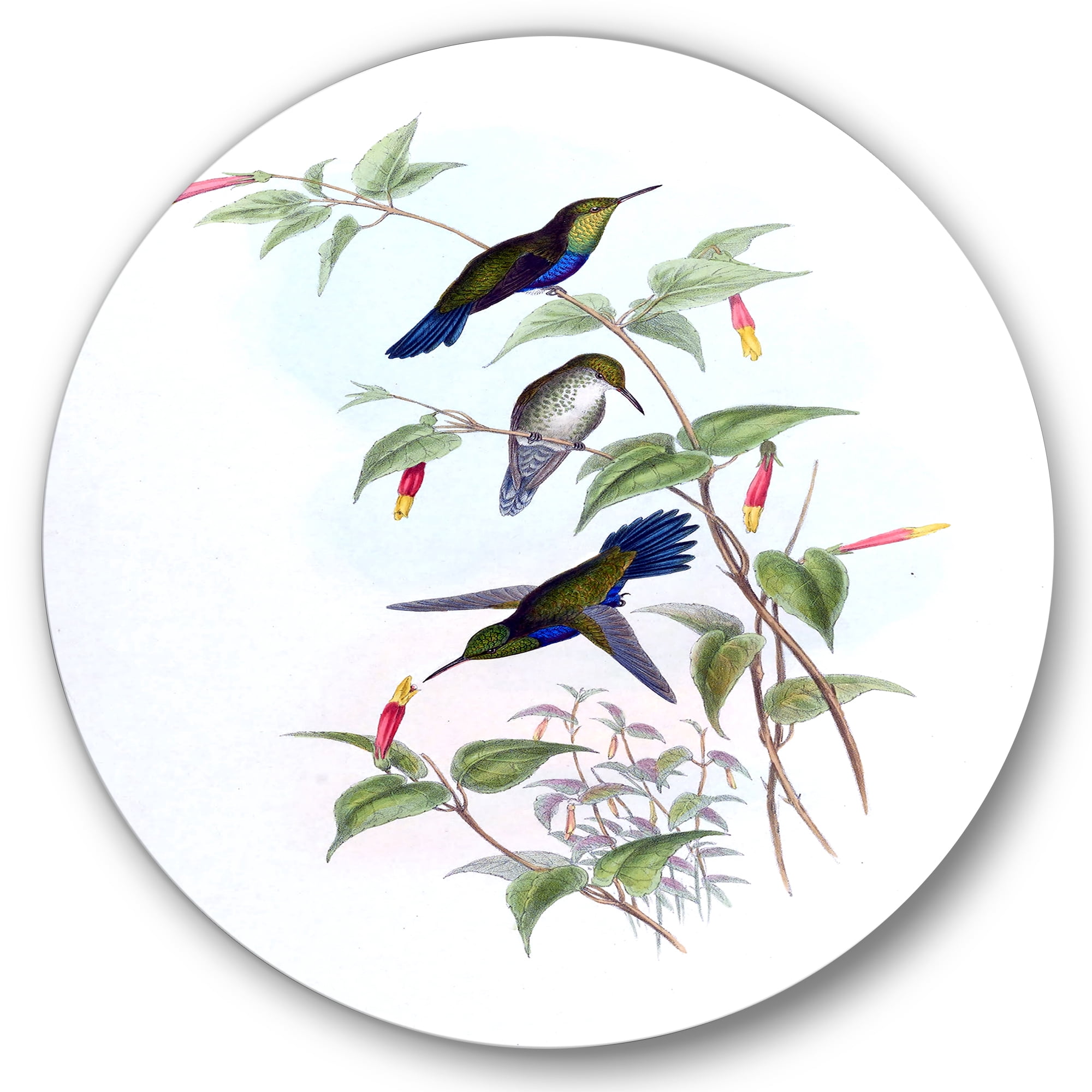 Designart 'Ancient Hummingbird I' Traditional Circle Metal Wall Art 23x23 - Disc of 23