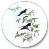 Designart 'Ancient Hummingbird I' Traditional Circle Metal Wall Art 36x36 - Disc of 36